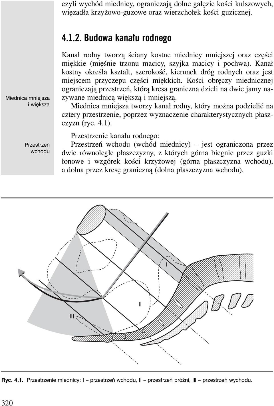 Kanał kostny określa kształt, szerokość, kierunek dróg rodnych oraz jest miejscem przyczepu części miękkich.