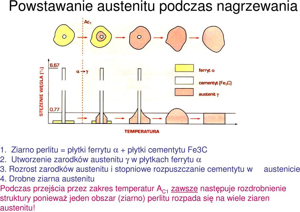 Rozrost zarodków austenitu i stopniowe rozpuszczanie cementytu w austenicie 4.