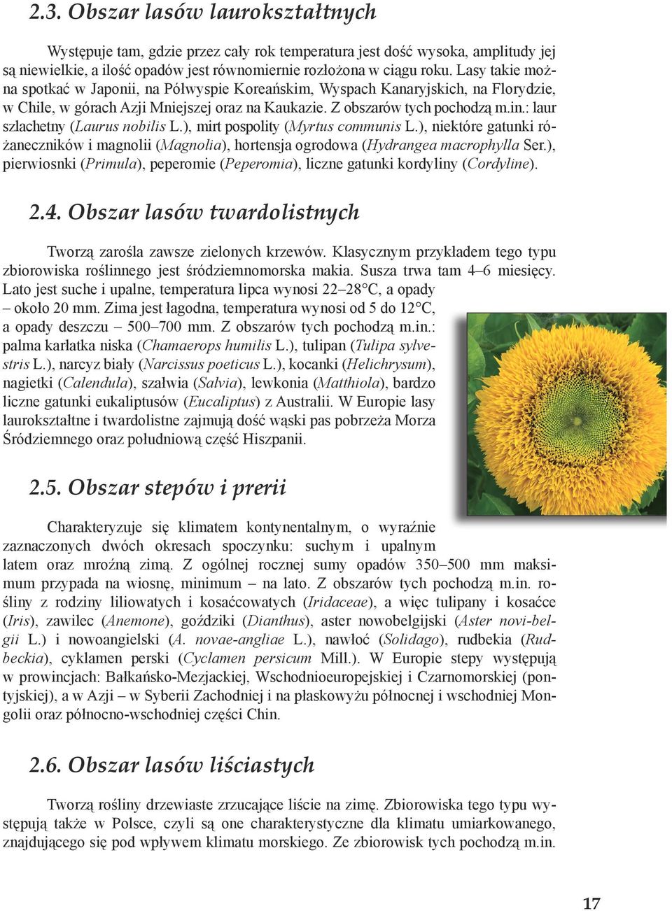 : laur szlachetny (Laurus nobilis L.), mirt pospolity (Myrtus communis L.), niektóre gatunki różaneczników i magnolii (Magnolia), hortensja ogrodowa (Hydrangea macrophylla Ser.