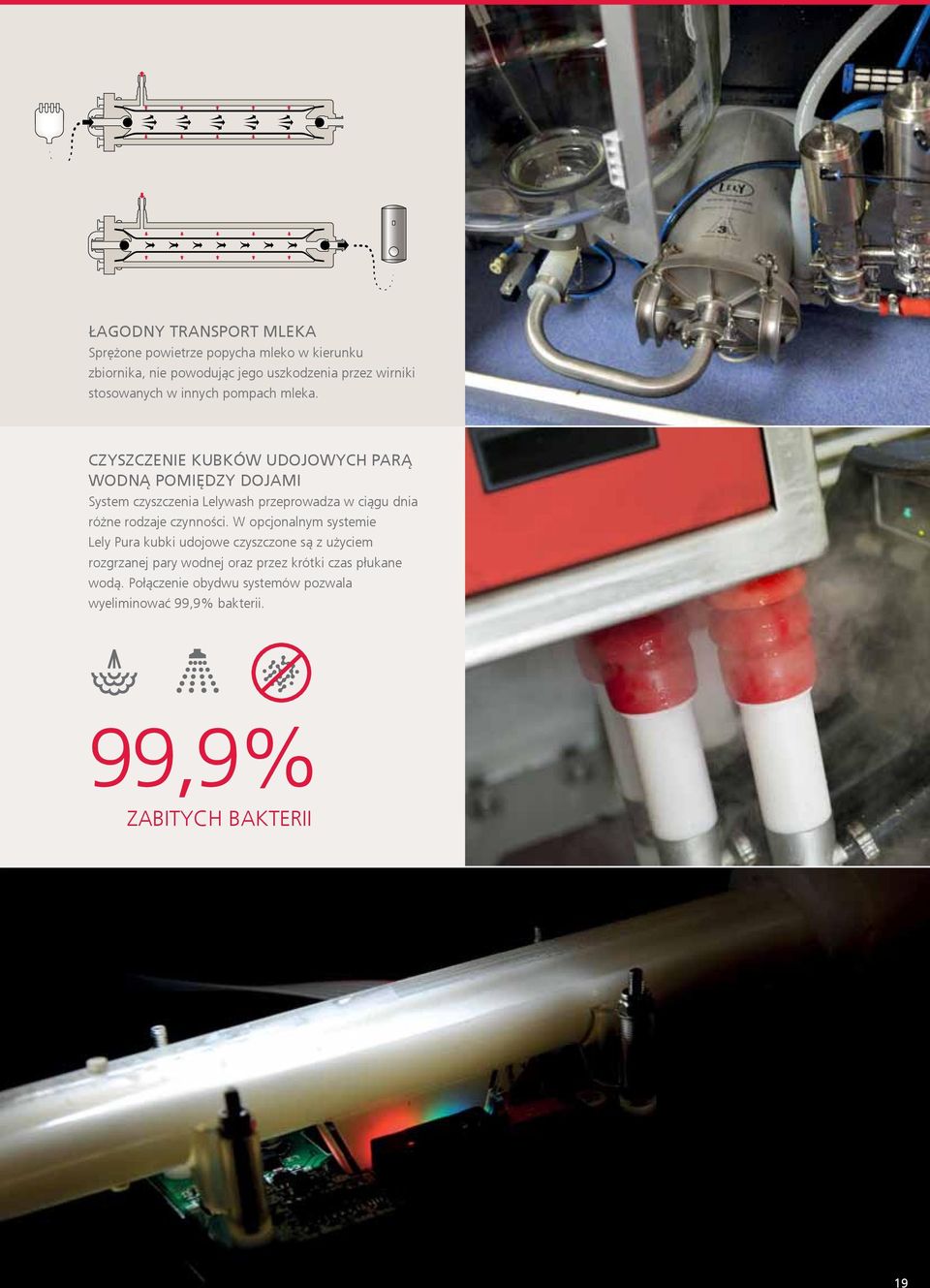Czyszczenie kubków udojowych parą wodną pomiędzy dojami System czyszczenia Lelywash przeprowadza w ciągu dnia różne rodzaje