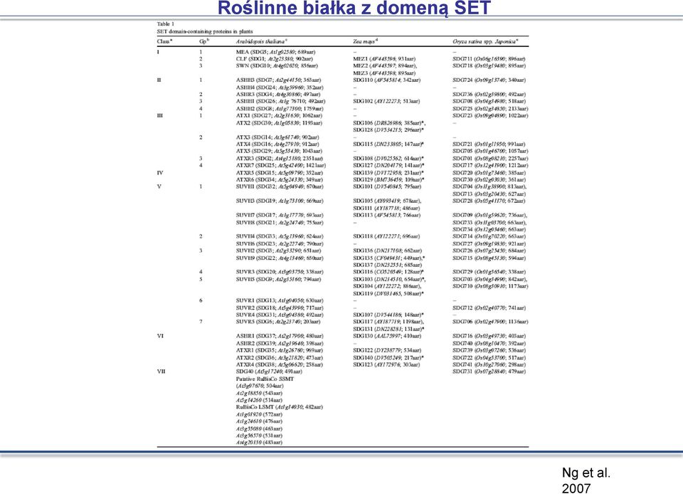 domeną SET