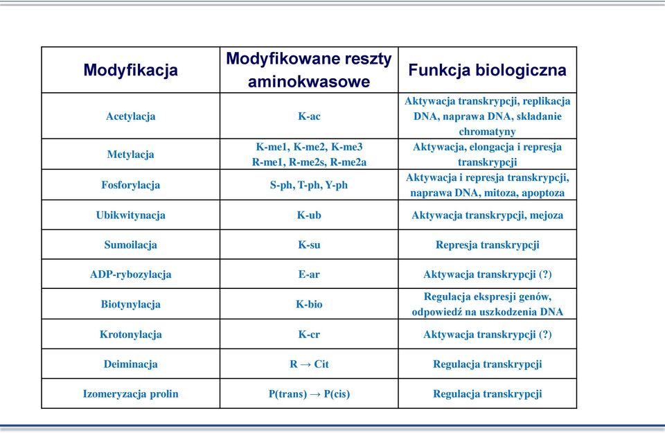 Ubikwitynacja K-ub Aktywacja transkrypcji, mejoza Sumoilacja K-su Represja transkrypcji ADP-rybozylacja E-ar Aktywacja transkrypcji (?