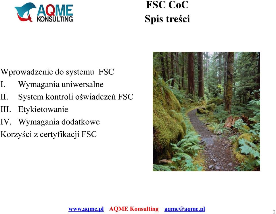 System kontroli oświadczeń FSC III.