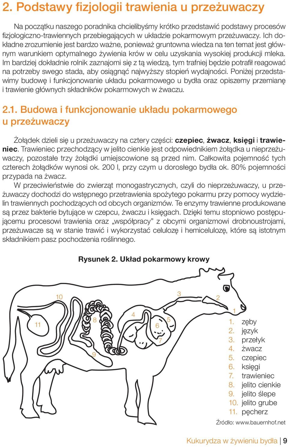 Im bardziej dokładnie rolnik zaznajomi się z tą wiedzą, tym trafniej będzie potrafi ł reagować na potrzeby swego stada, aby osiągnąć najwyższy stopień wydajności.