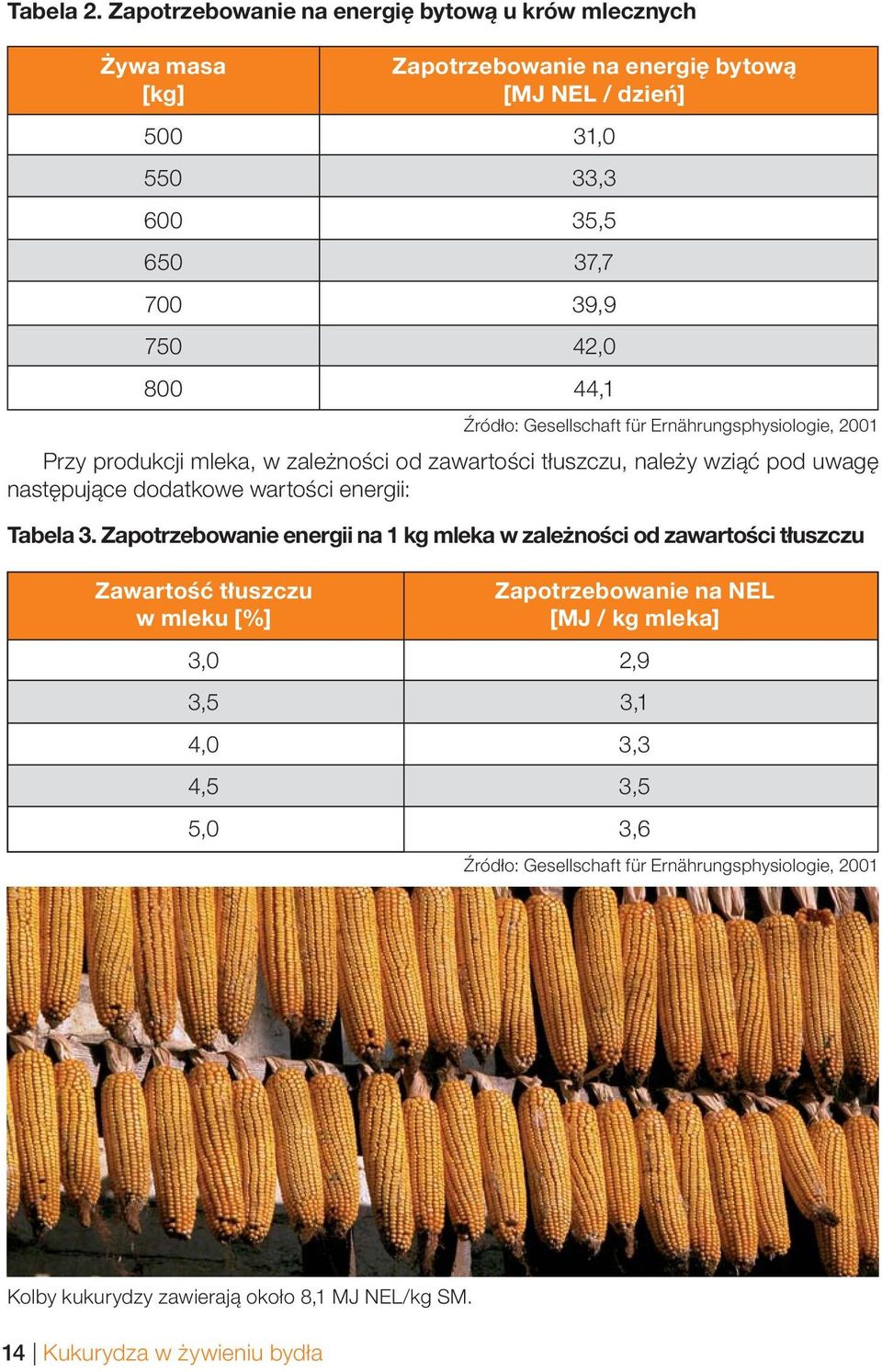 800 44,1 Źródło: Gesellschaft für Ernährungsphysiologie, 2001 Przy produkcji mleka, w zależności od zawartości tłuszczu, należy wziąć pod uwagę następujące dodatkowe