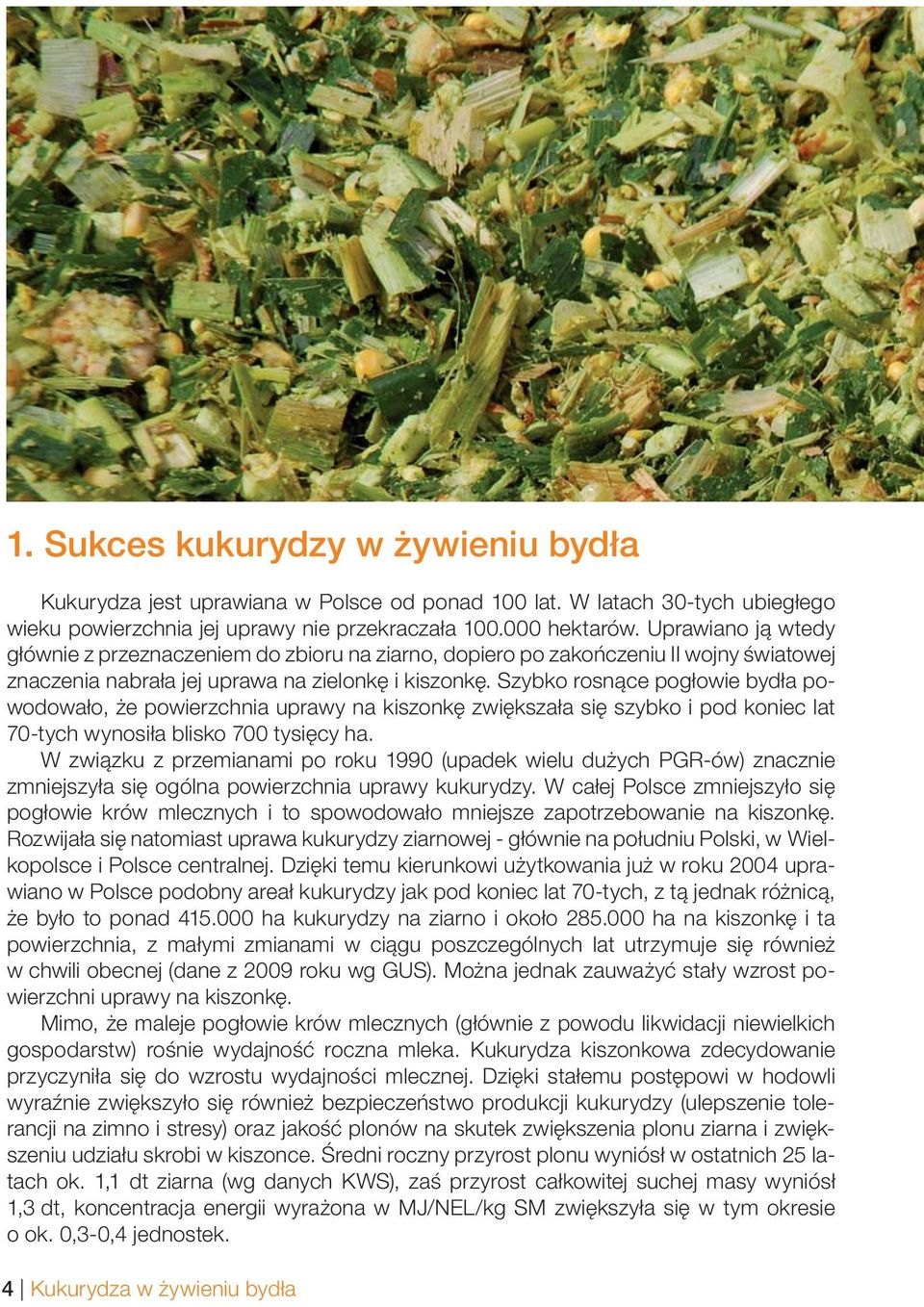 Szybko rosnące pogłowie bydła powodowało, że powierzchnia uprawy na kiszonkę zwiększała się szybko i pod koniec lat 70-tych wynosiła blisko 700 tysięcy ha.