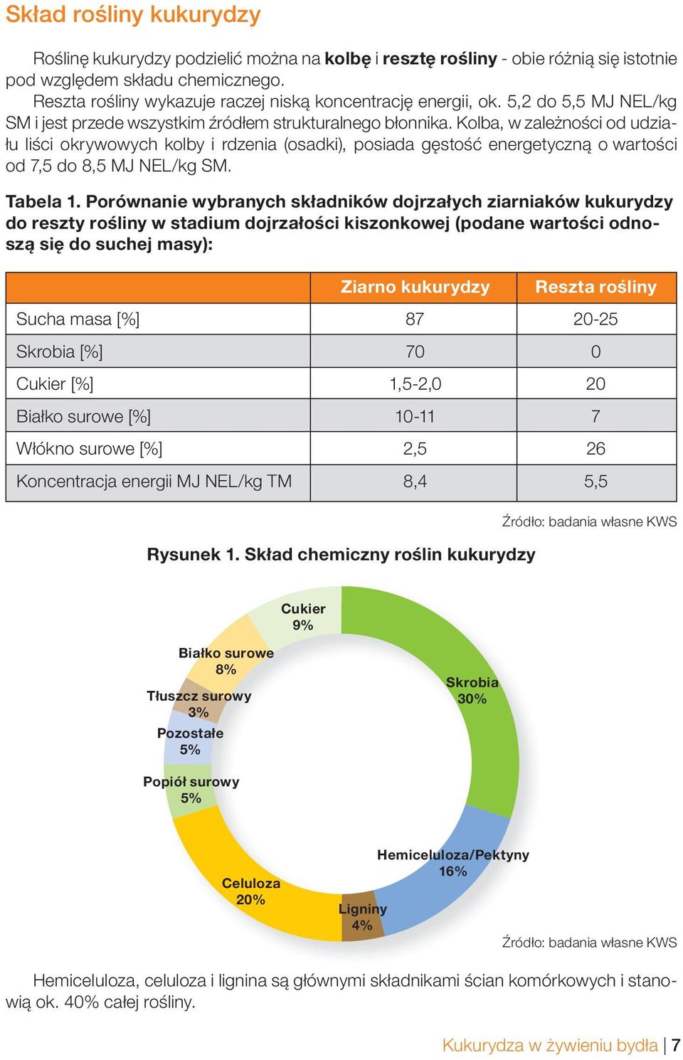 Kolba, w zależności od udziału liści okrywowych kolby i rdzenia (osadki), posiada gęstość energetyczną o wartości od 7,5 do 8,5 MJ NEL/kg SM. Tabela 1.