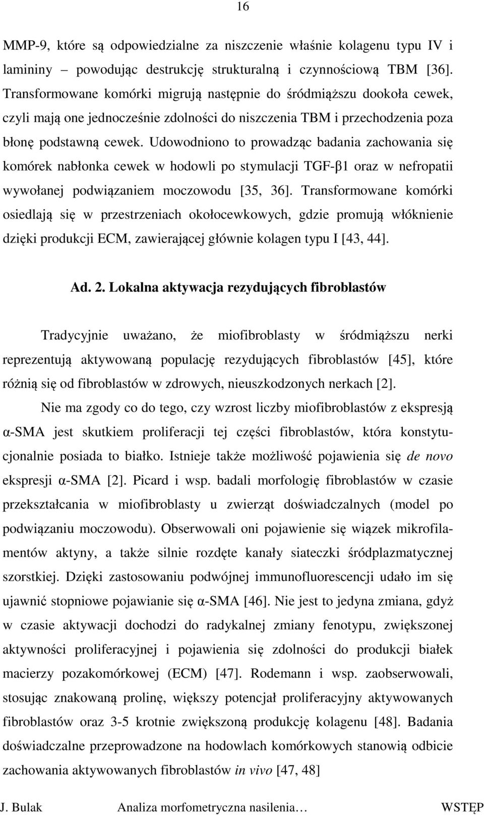Udowodniono to prowadząc badania zachowania się komórek nabłonka cewek w hodowli po stymulacji TGF-β1 oraz w nefropatii wywołanej podwiązaniem moczowodu [35, 36].
