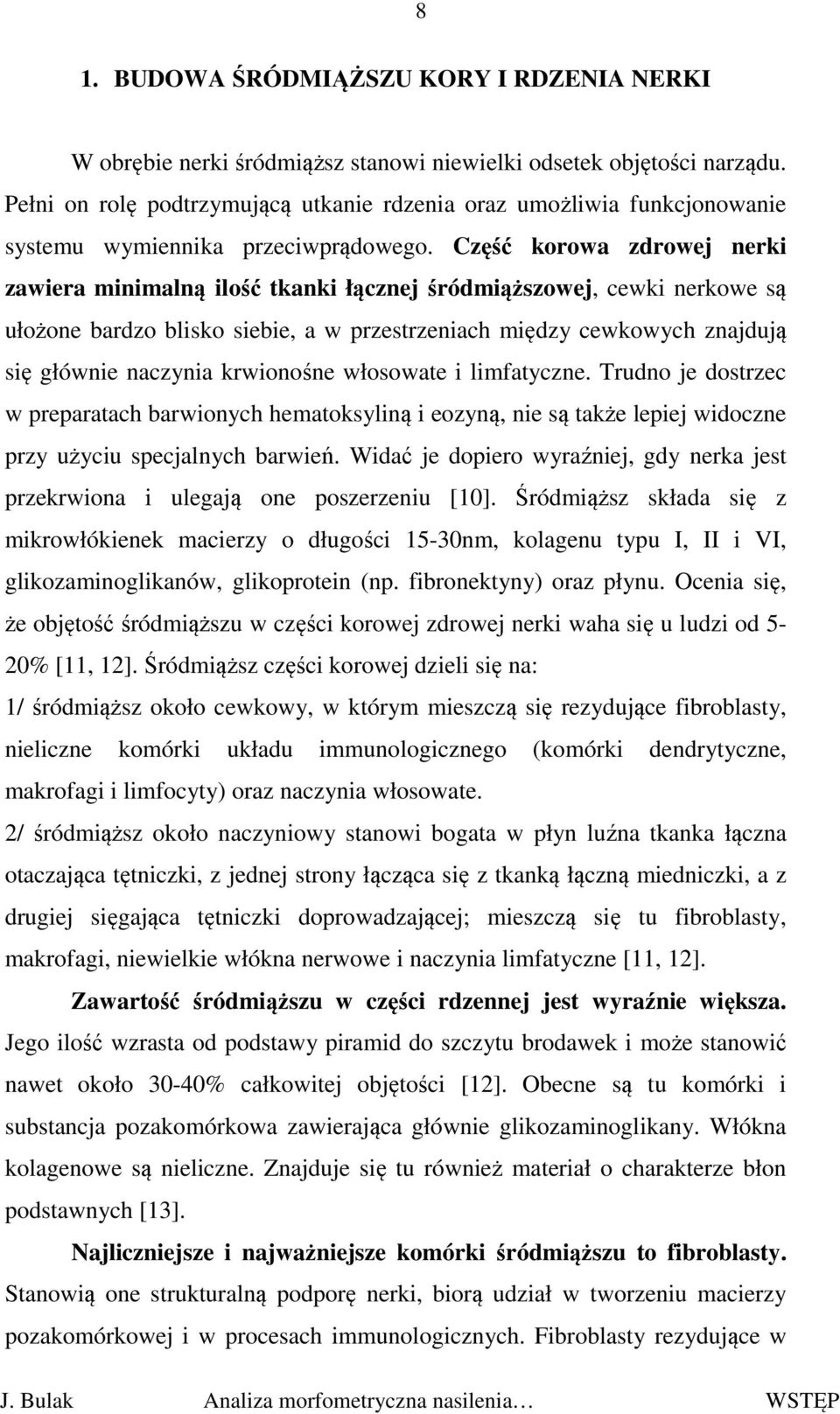 Część korowa zdrowej nerki zawiera minimalną ilość tkanki łącznej śródmiąższowej, cewki nerkowe są ułożone bardzo blisko siebie, a w przestrzeniach między cewkowych znajdują się głównie naczynia
