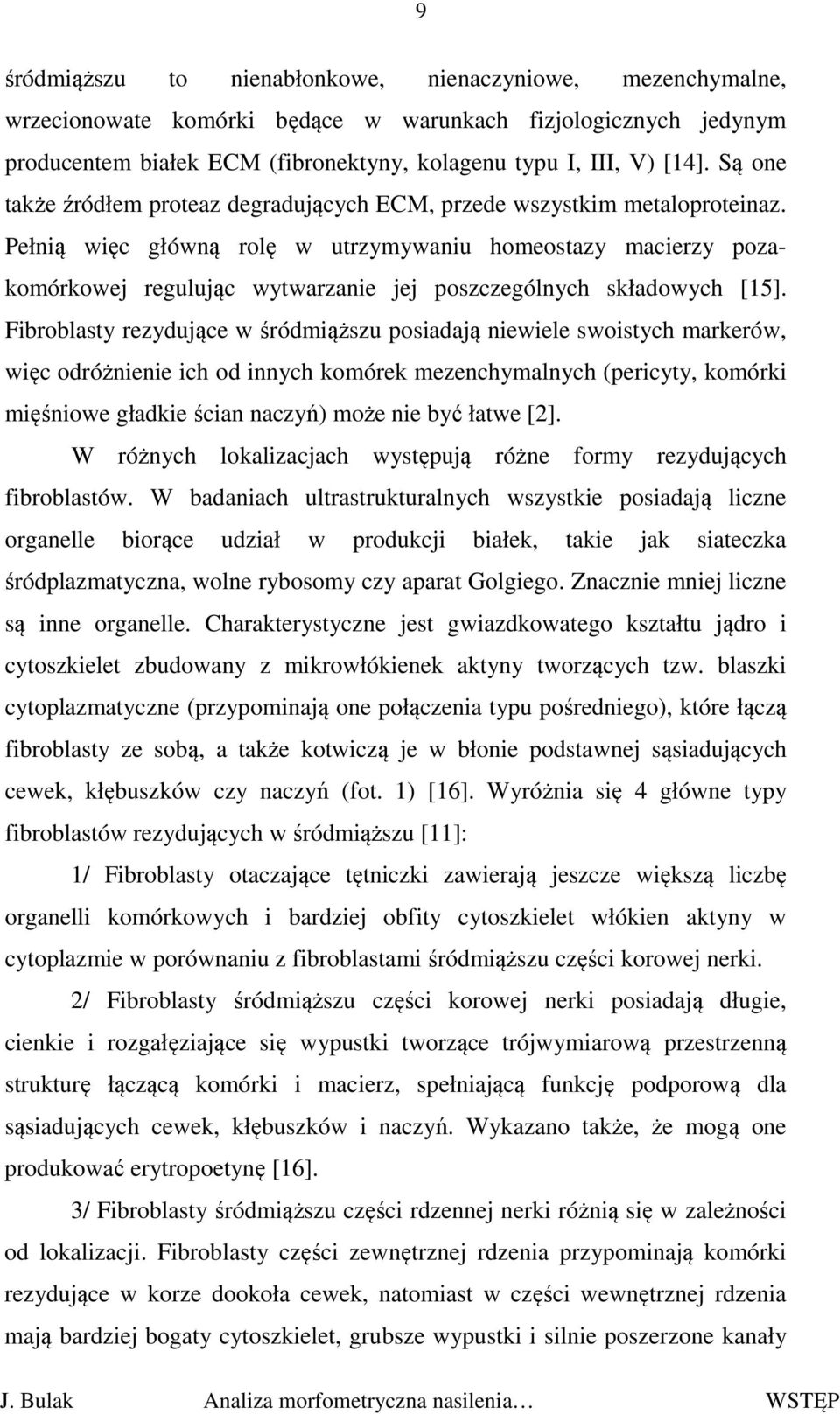 Pełnią więc główną rolę w utrzymywaniu homeostazy macierzy pozakomórkowej regulując wytwarzanie jej poszczególnych składowych [15].