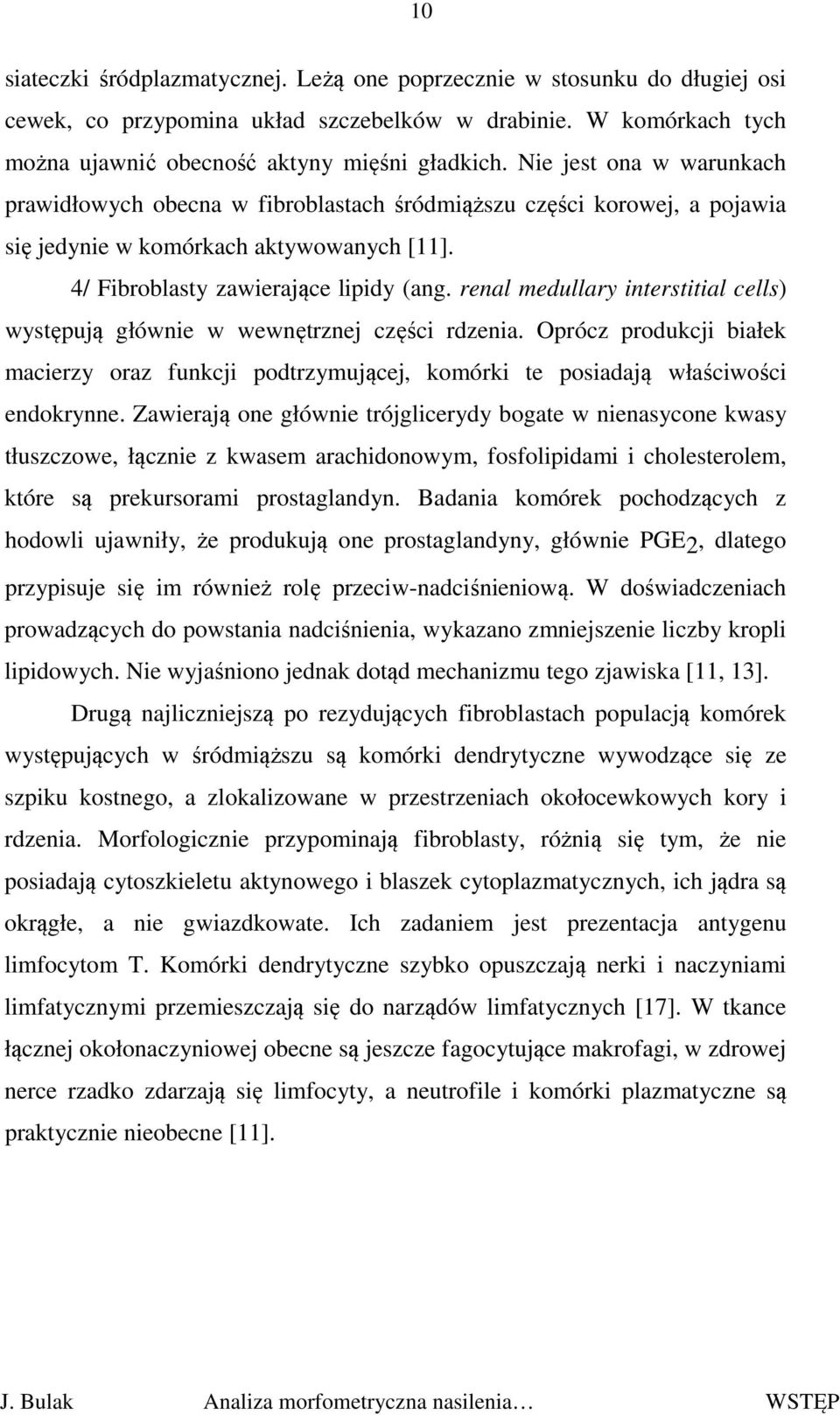 renal medullary interstitial cells) występują głównie w wewnętrznej części rdzenia. Oprócz produkcji białek macierzy oraz funkcji podtrzymującej, komórki te posiadają właściwości endokrynne.