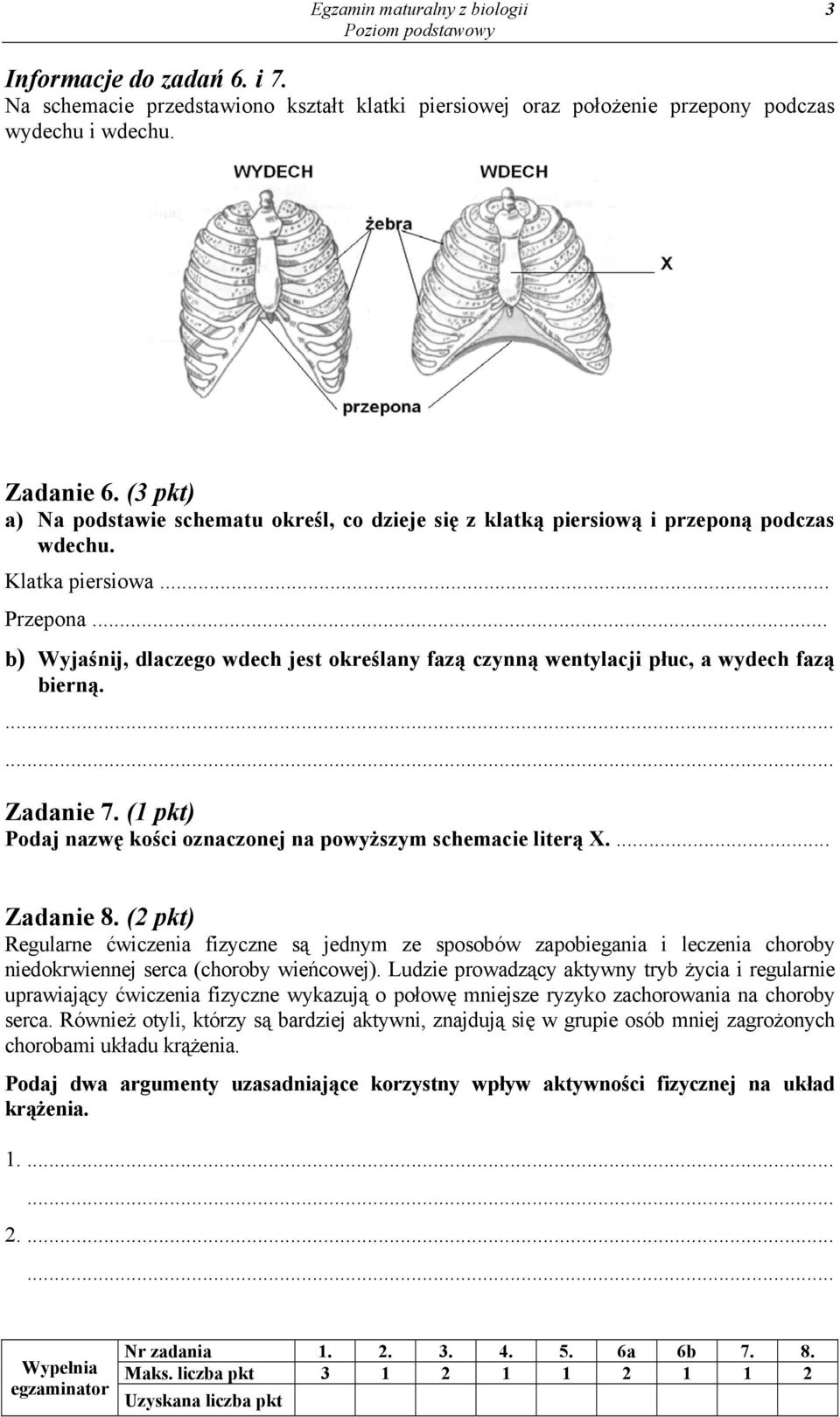 .. b) Wyjaśnij, dlaczego wdech jest określany fazą czynną wentylacji płuc, a wydech fazą bierną. Zadanie 7. (1 pkt) Podaj nazwę kości oznaczonej na powyższym schemacie literą X.... Zadanie 8.