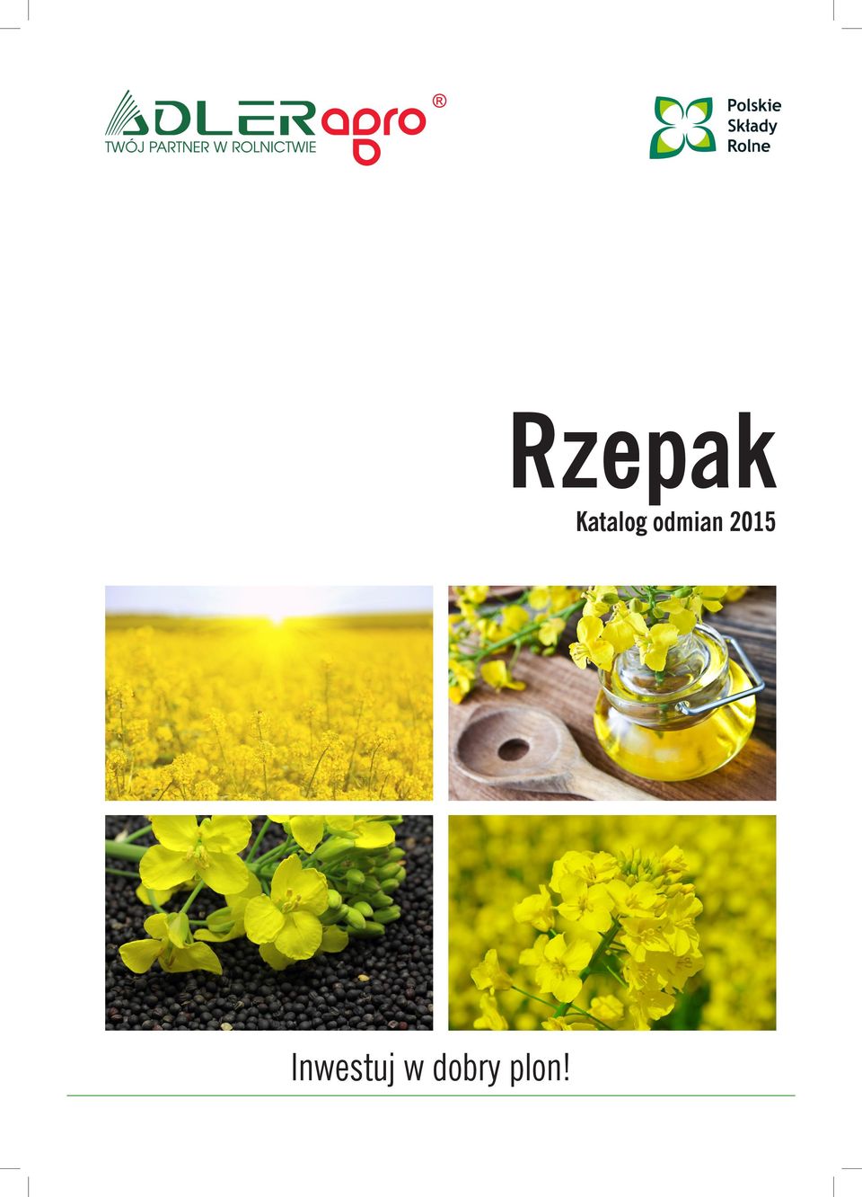 Rzepak