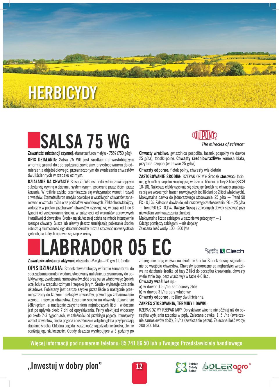 DZIAŁANIE NA CHWASTY: Salsa 75 WG jest herbicydem zawierającym substancję czynną o działaniu systemicznym, pobieraną przez liście i przez korzenie.