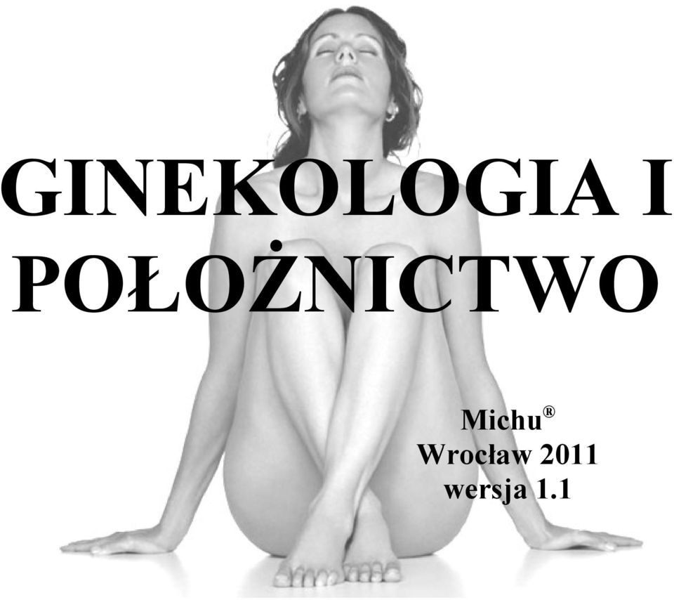 Michu Wrocław