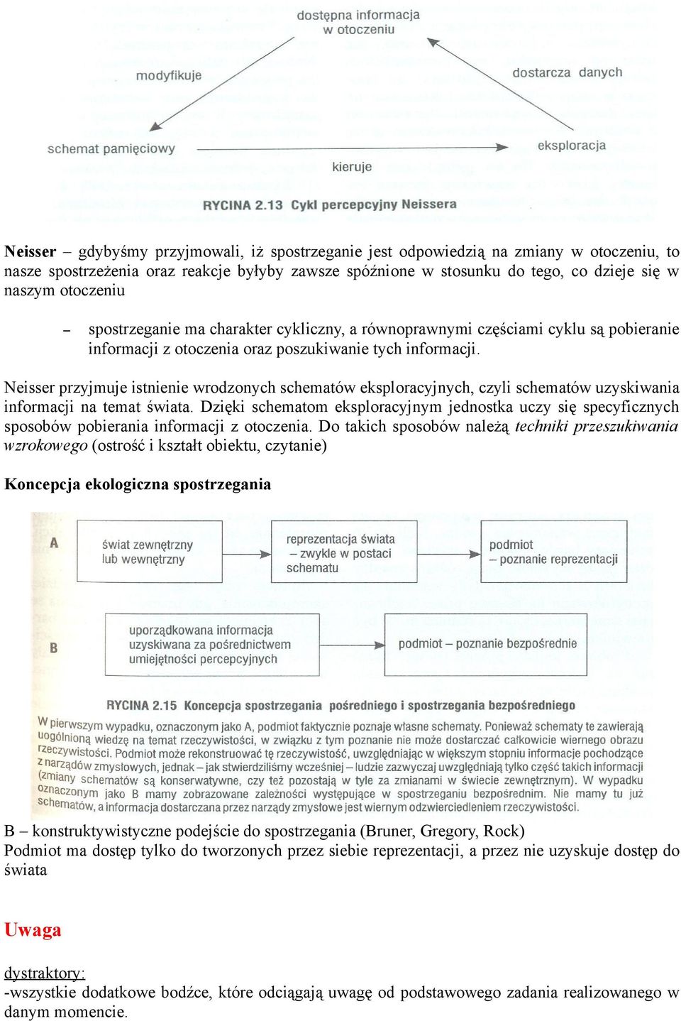 Neisser przyjmuje istnienie wrodzonych schematów eksploracyjnych, czyli schematów uzyskiwania informacji na temat świata.