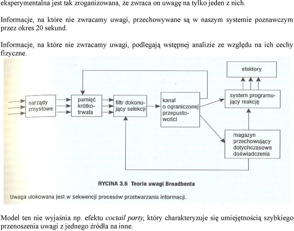 Informacje, na które nie zwracamy uwagi, podlegają wstępnej analizie ze względu na ich cechy fizyczne.