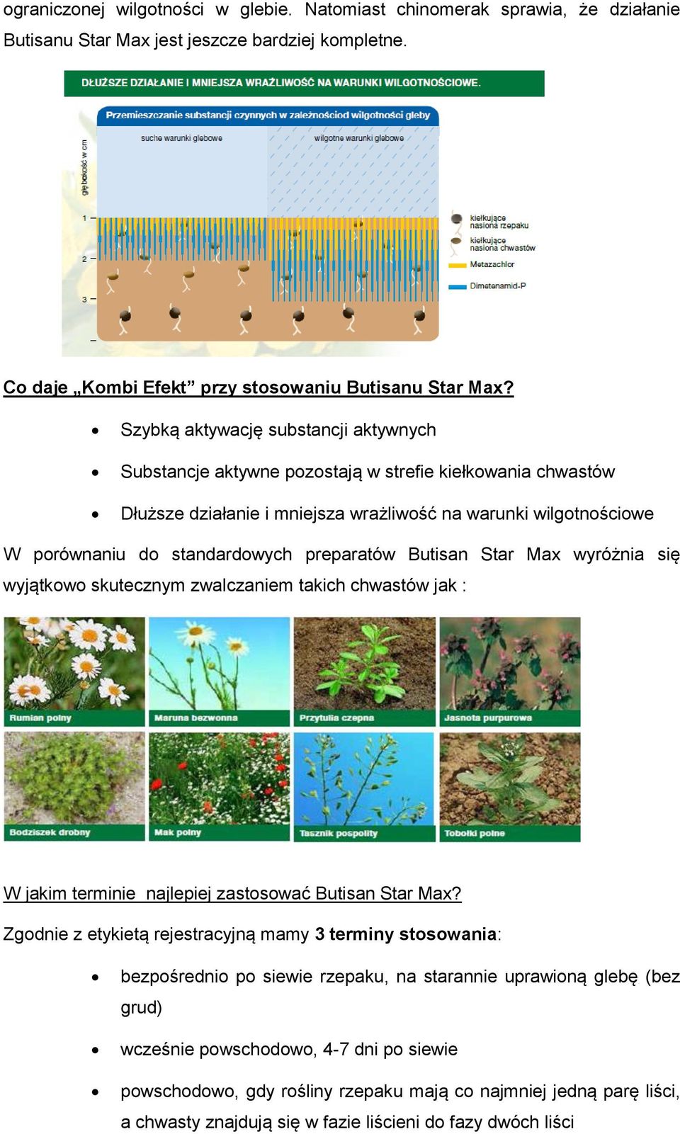 preparatów Butisan Star Max wyróżnia się wyjątkowo skutecznym zwalczaniem takich chwastów jak : W jakim terminie najlepiej zastosować Butisan Star Max?