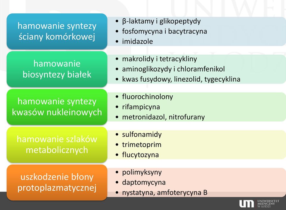 imidazole makrolidy i tetracykliny aminoglikozydy i chloramfenikol kwas fusydowy, linezolid, tygecyklina