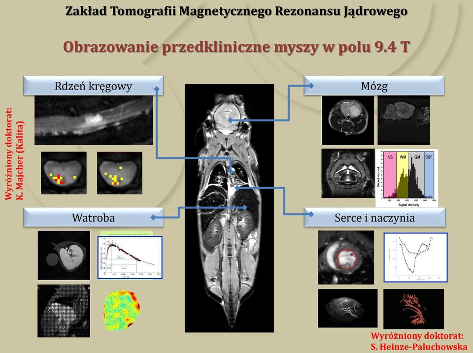 Rezonansu Jądrowego Obrazowanie przedkliniczne myszy w