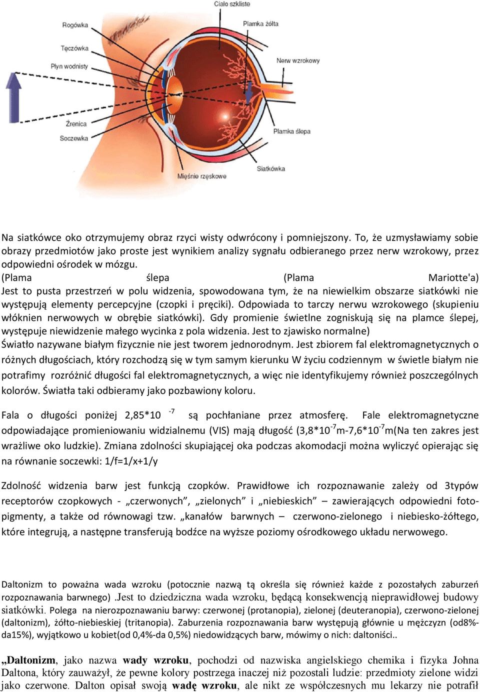 (Plama ślepa (Plama Mariotte'a) Jest to pusta przestrzeń w polu widzenia, spowodowana tym, że na niewielkim obszarze siatkówki nie występują elementy percepcyjne (czopki i pręciki).