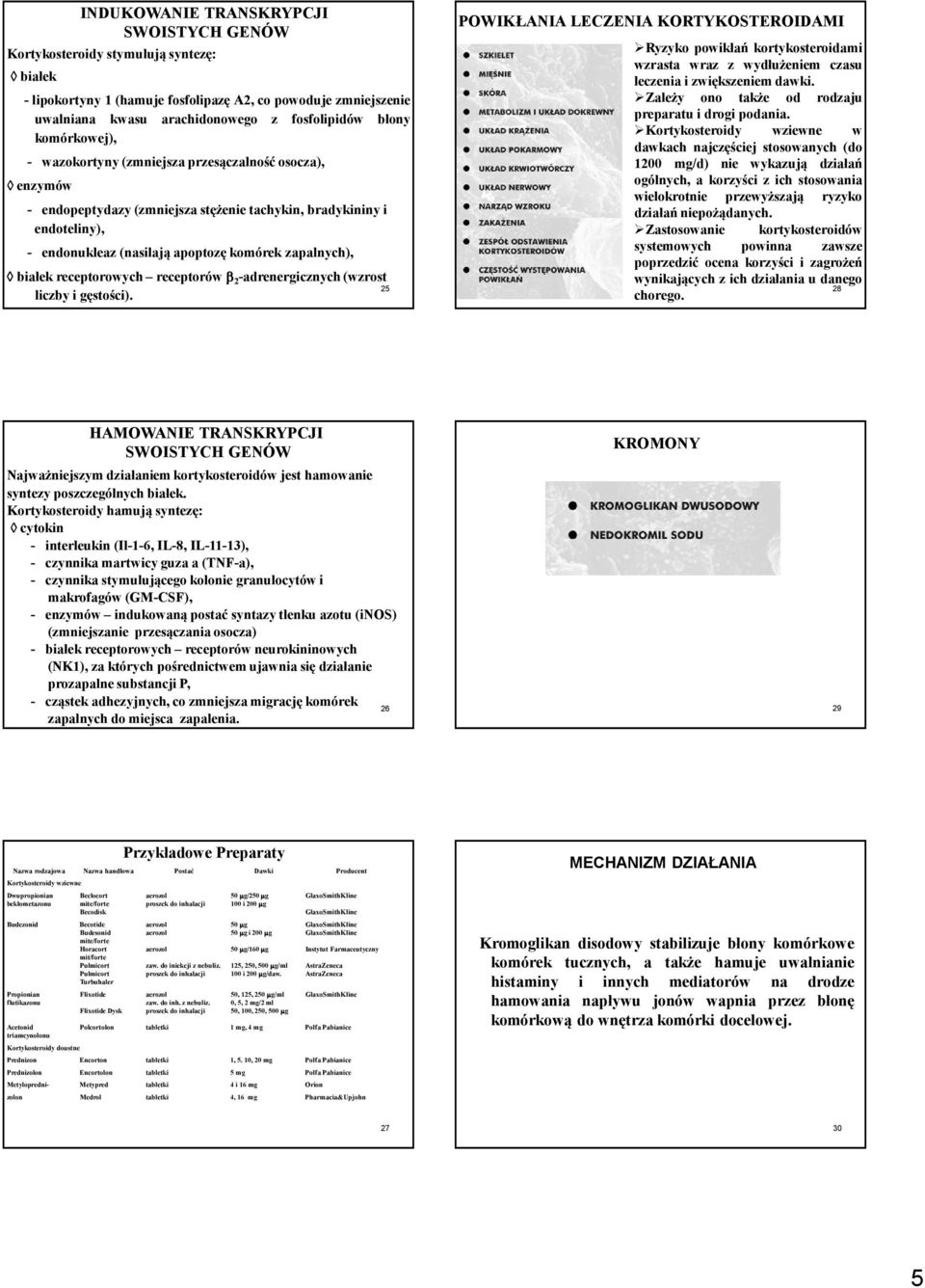 receptorowych receptorów β 2 -adrenergicznych(wzrost 25 liczby i gęstości).