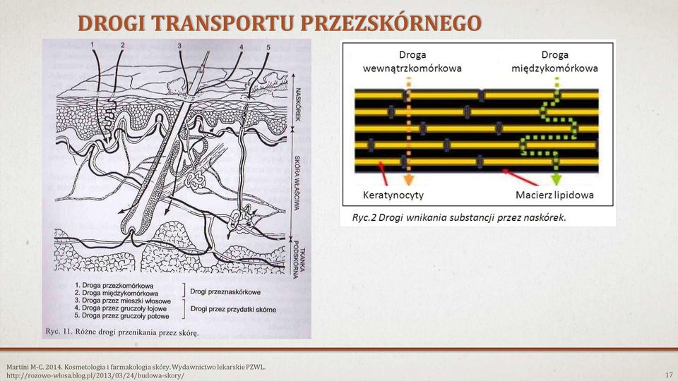 Kosmetologia i farmakologia skóry.