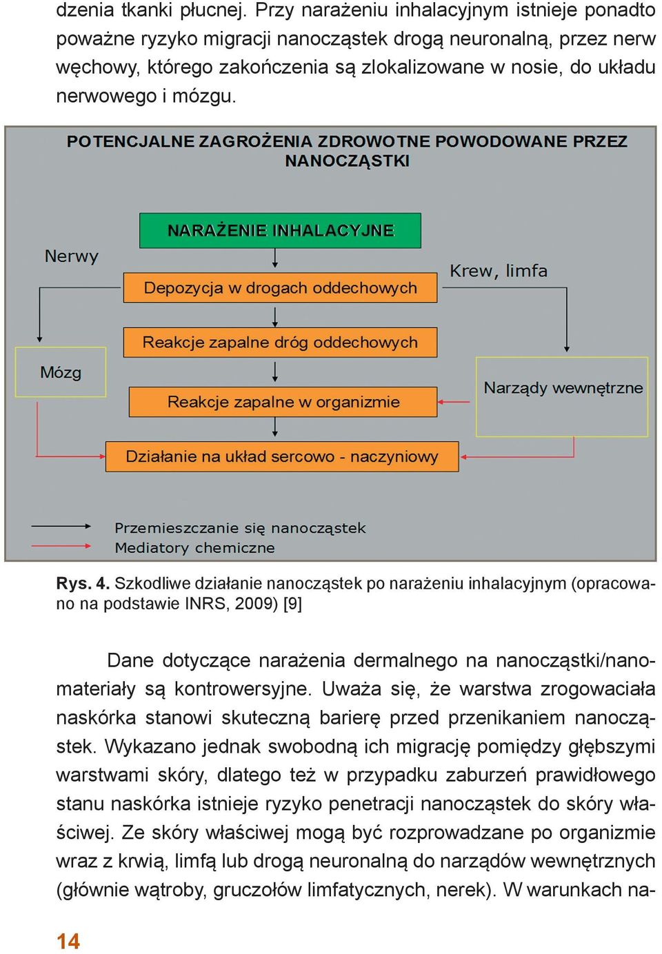 4. Szkodliwe działanie nanocząstek po narażeniu inhalacyjnym (opracowano na podstawie INRS, 2009) [9] Dane dotyczące narażenia dermalnego na nanocząstki/nanomateriały są kontrowersyjne.