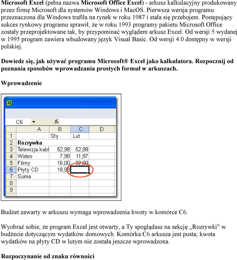 Postępujący sukces rynkowy programu sprawił, że w roku 1993 programy pakietu Microsoft Office zostały przeprojektowane tak, by przypominać wyglądem arkusz Excel.