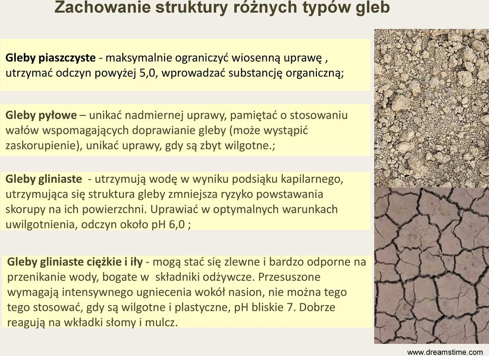 ; Gleby gliniaste - utrzymują wodę w wyniku podsiąku kapilarnego, utrzymująca się struktura gleby zmniejsza ryzyko powstawania skorupy na ich powierzchni.
