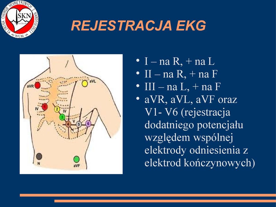 (rejestracja dodatniego potencjału względem