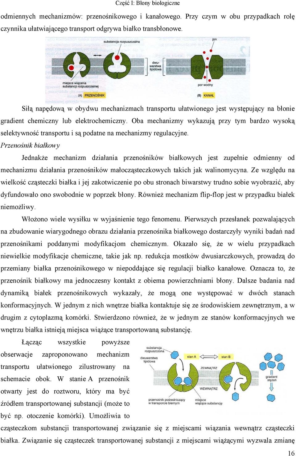 ba mechanizmy wykazują przy tym bardzo wysoką selektywność transportu i są podatne na mechanizmy regulacyjne.