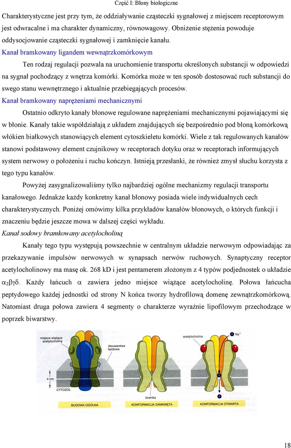 Kanał bramkowany ligandem wewnątrzkomórkowym Ten rodzaj regulacji pozwala na uruchomienie transportu określonych substancji w odpowiedzi na sygnał pochodzący z wnętrza komórki.