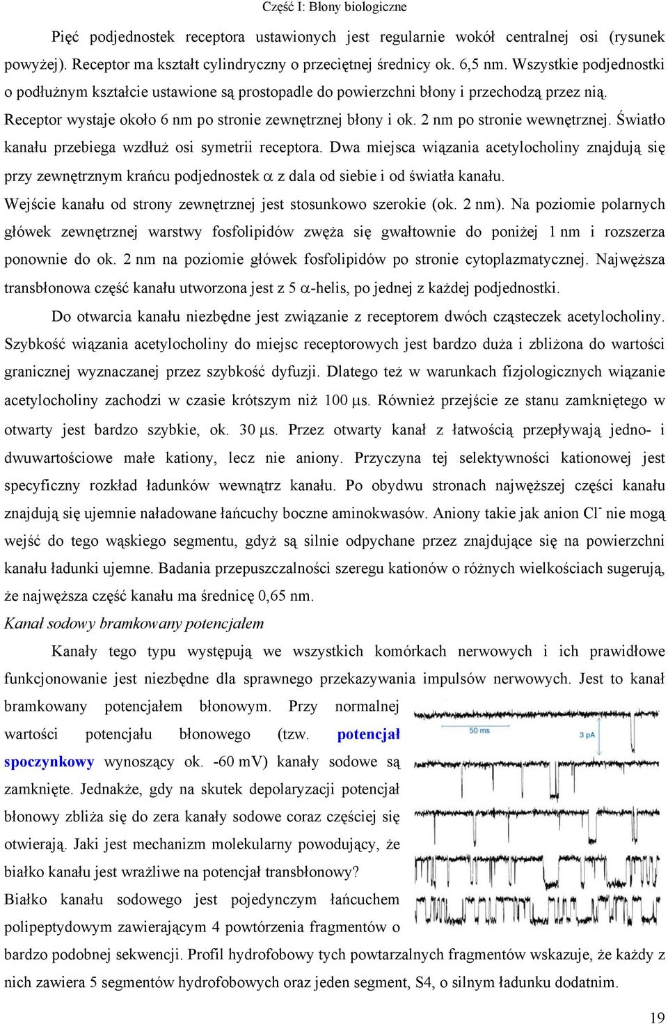2 nm po stronie wewnętrznej. Światło kanału przebiega wzdłuż osi symetrii receptora.
