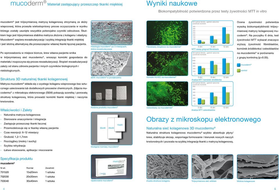 Mucoderm wspiera rewaskularyzację i szybką integrację tkanki miękkiej Histologia po 3 miesiącach; dobra rewaskularyzacja Fibroblasty dziąsłowe na mucodermie Po wprowadzeniu w miejsce biorcze, krew