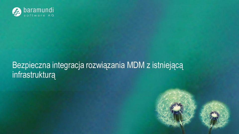 rozwiązania MDM