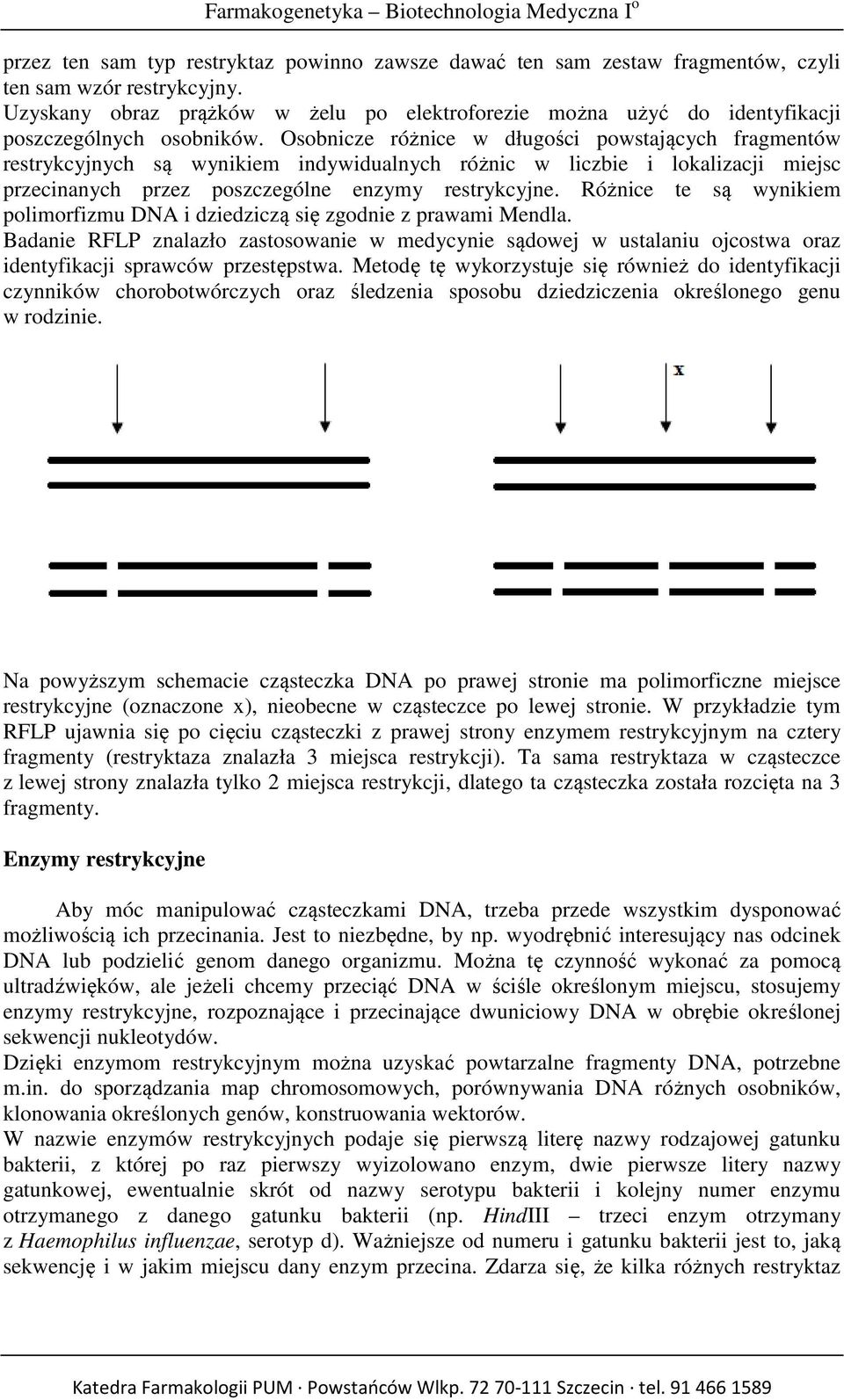 Osobnicze różnice w długości powstających fragmentów restrykcyjnych są wynikiem indywidualnych różnic w liczbie i lokalizacji miejsc przecinanych przez poszczególne enzymy restrykcyjne.