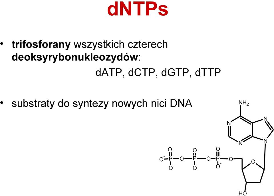 dttp substraty do syntezy nowych nici DNA