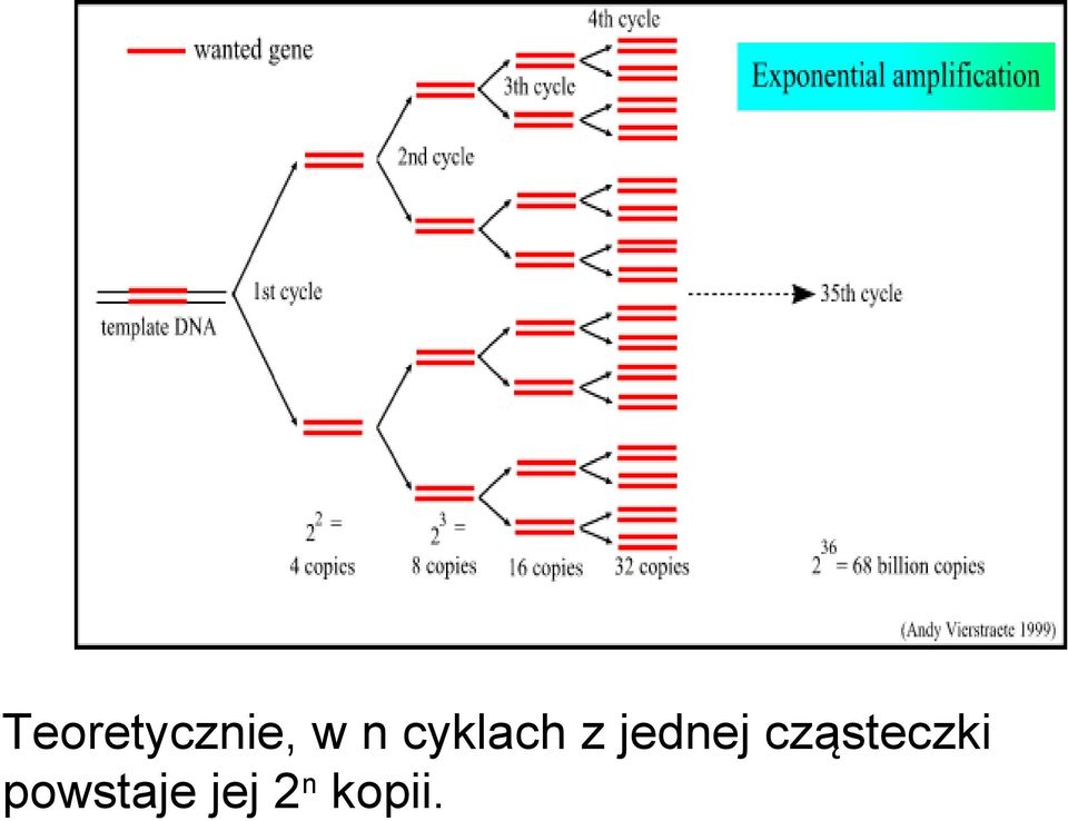 cząsteczki