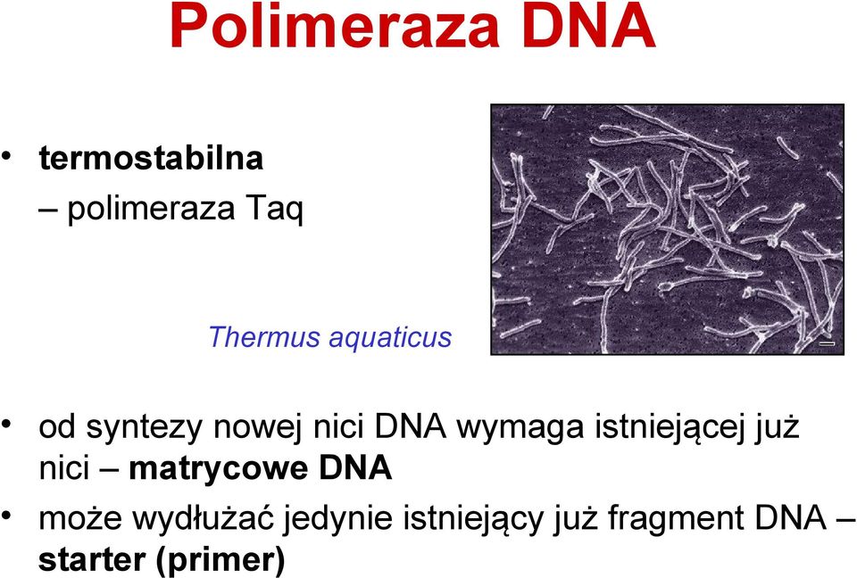 wymaga istniejącej już nici matrycowe DNA może