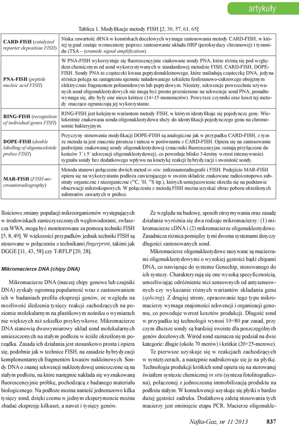 labelling of oligonucelotide probes FISH) MAR-FISH (FISH-microautoradiography) Niska zawartość rrna w komórkach docelowych wymaga zastosowania metody CARD-FISH, w której sygnał zostaje wzmocniony