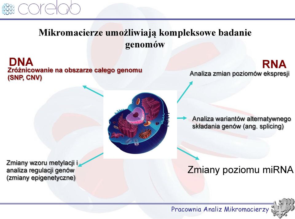 alternatywnego składania genów (ang.