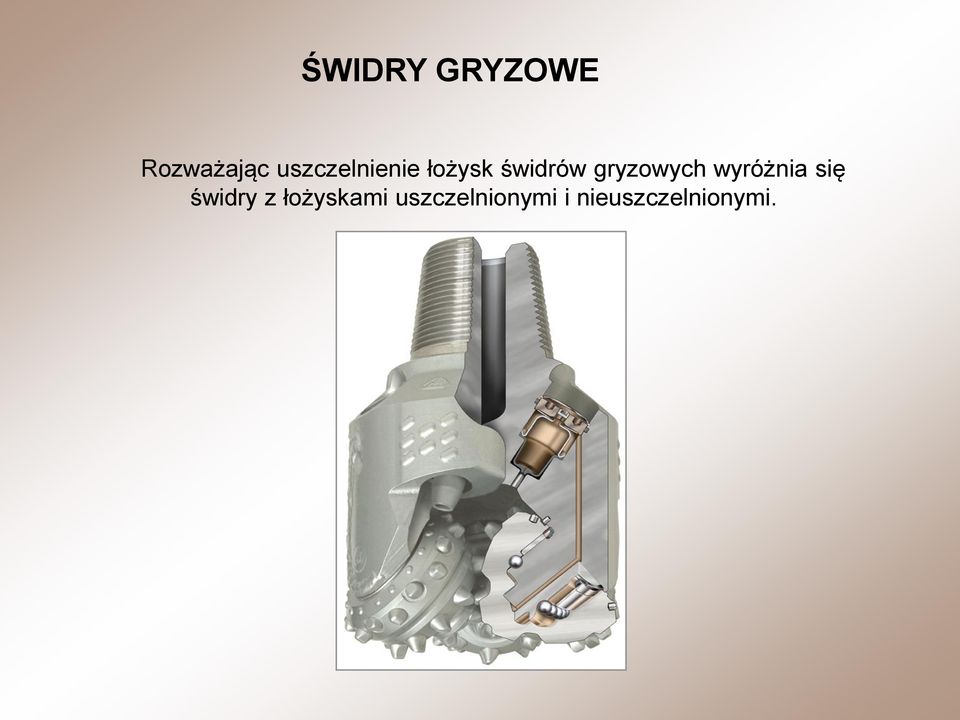 gryzowych wyróżnia się świdry z