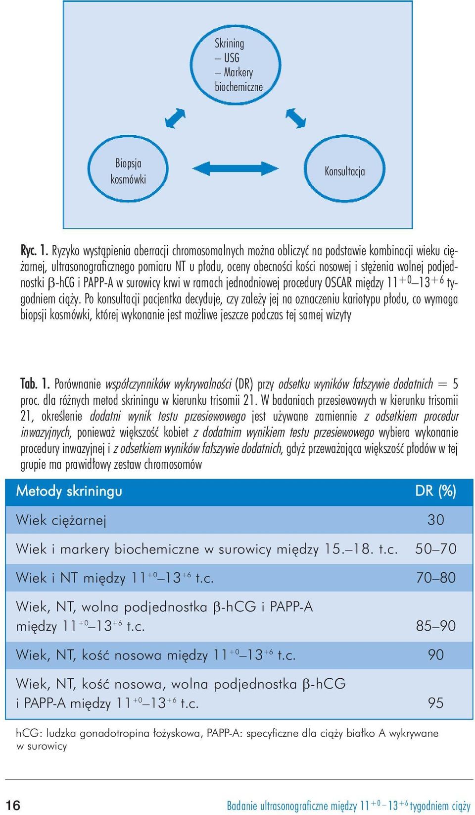 podjednostki β-hcg i PAPP-A w surowicy krwi w ramach jednodniowej procedury OSCAR miêdzy 11 +0 13 +6 tygodniem ci¹ y.