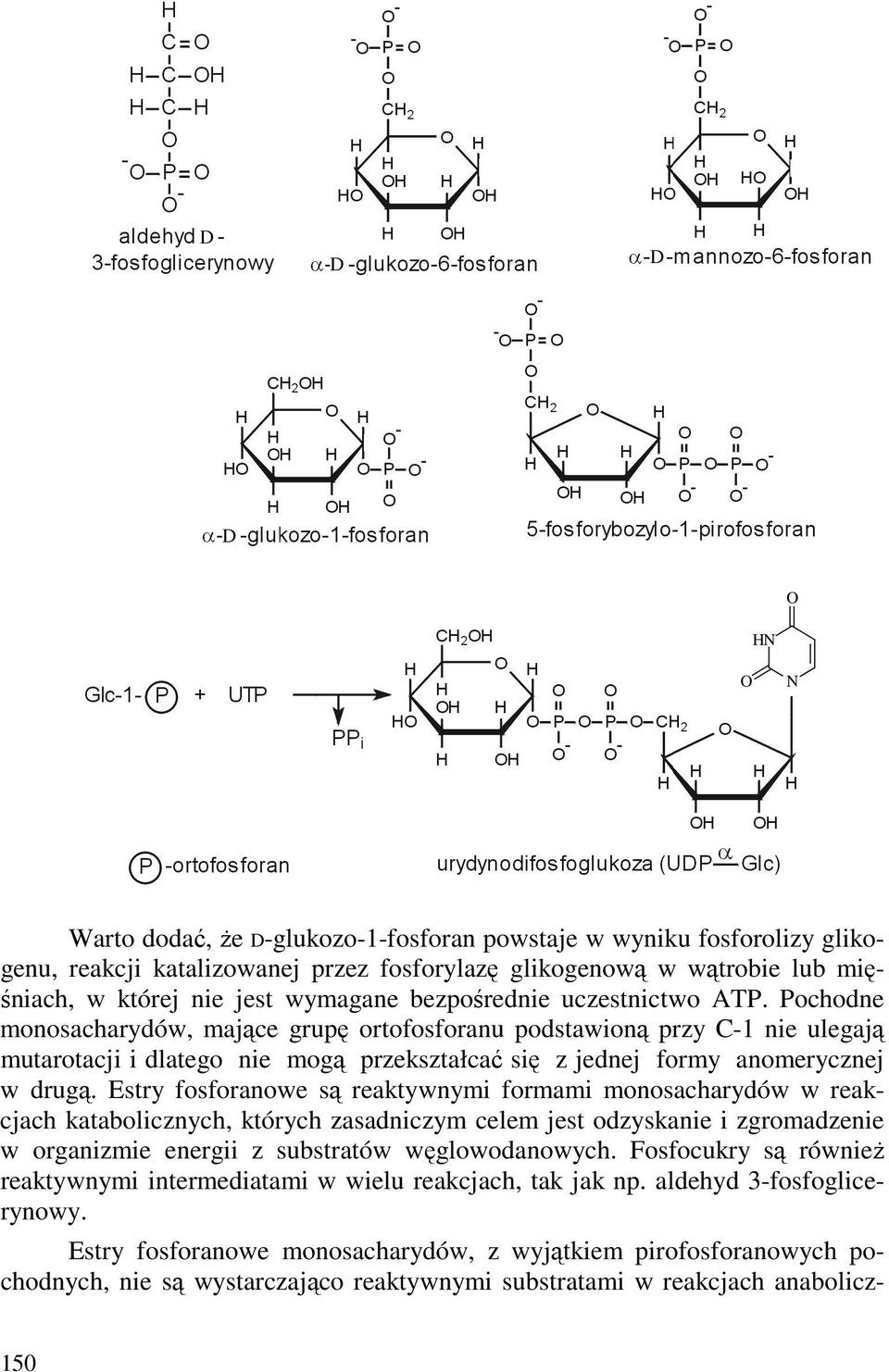 Estry fosforanowe są reaktywnymi formami monosacharydów w reakcjach katabolicznych, których zasadniczym celem jest odzyskanie i zgromadzenie w organizmie energii z substratów węglowodanowych.