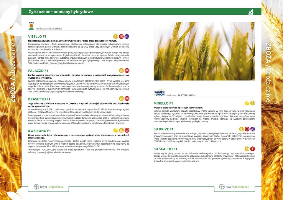 Odmiana rekomendowana do uprawy przez Listy Zalecanych Odmian do uprawy na terenie 12 województw w Polsce.