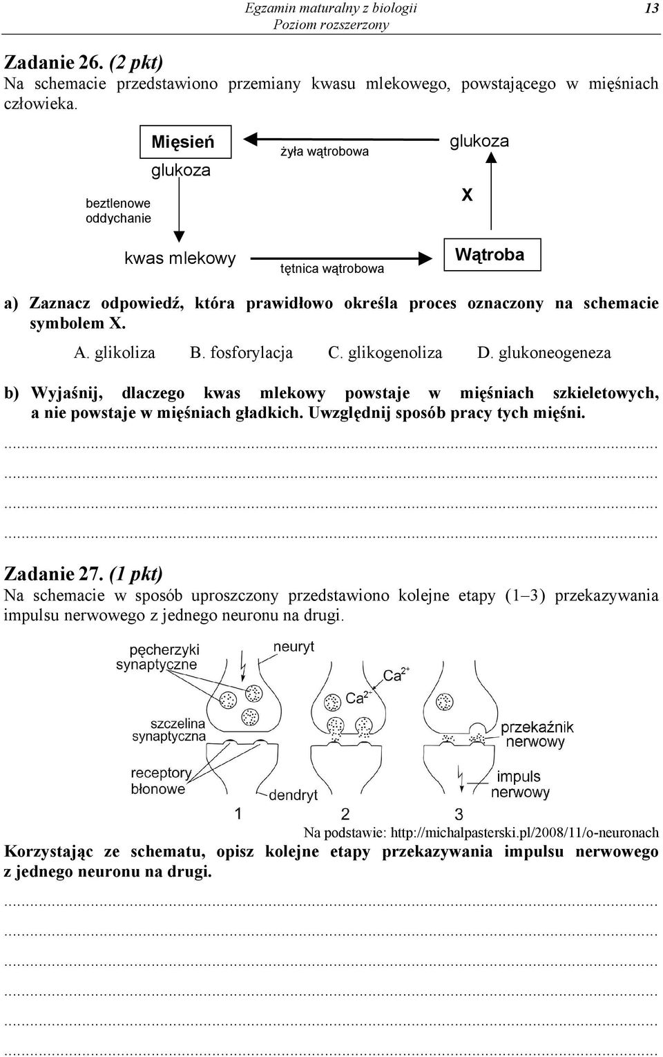 glikoliza B. fosforylacja C. glikogenoliza D. glukoneogeneza b) Wyjaśnij, dlaczego kwas mlekowy powstaje w mięśniach szkieletowych, a nie powstaje w mięśniach gładkich.