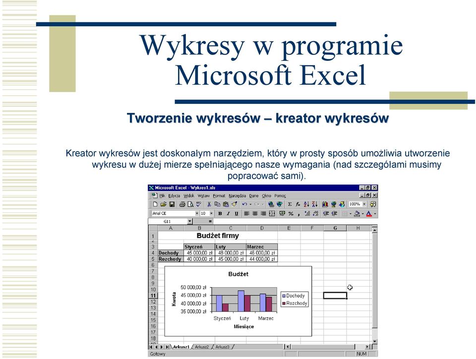 umożliwia utworzenie wykresu w dużej mierze