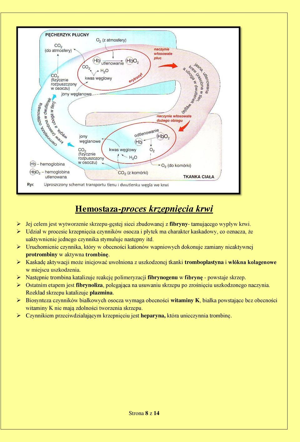 Uruchomienie czynnika, który w obecności kationów wapniowych dokonuje zamiany nieaktywnej protrombiny w aktywna trombinę.