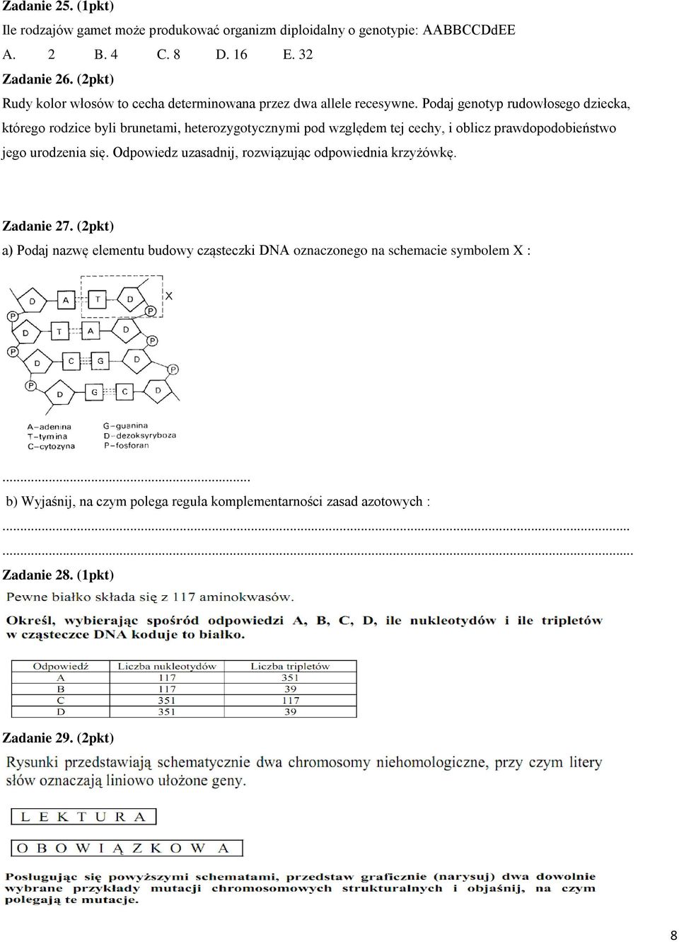 Podaj genotyp rudowłosego dziecka, którego rodzice byli brunetami, heterozygotycznymi pod względem tej cechy, i oblicz prawdopodobieństwo jego urodzenia się.